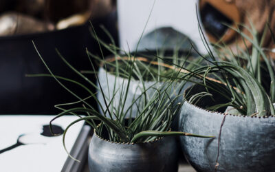 Verantwortungsvolles Design im Web – von Enshittification zu Genug