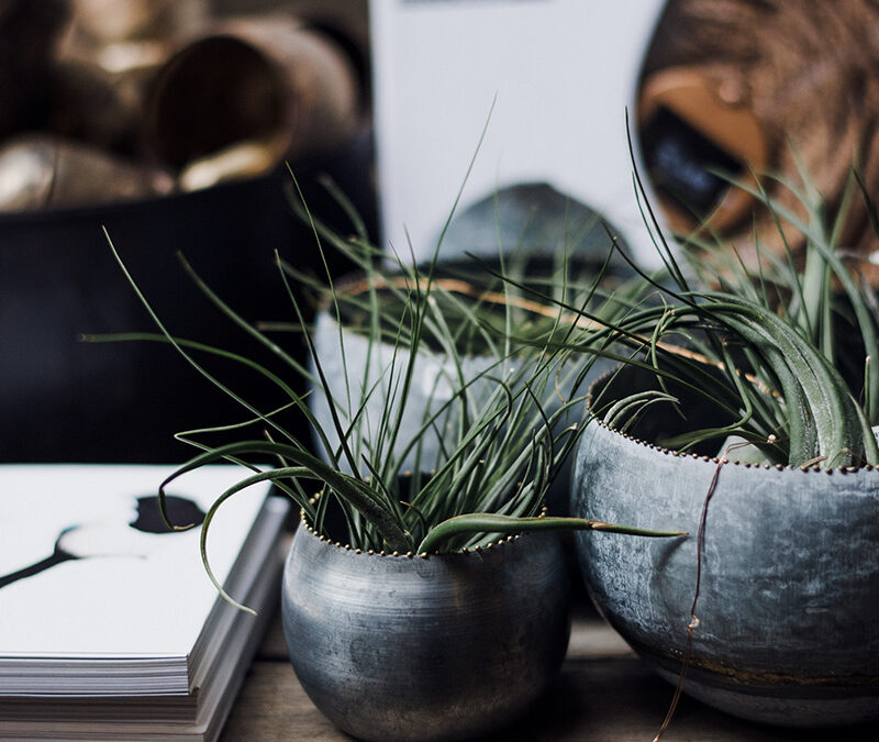 Verantwortungsvolles Design im Web – von Enshittification zu Genug